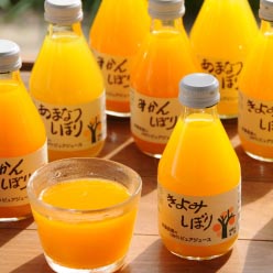 「伊藤農園」5種の柑橘ジュース