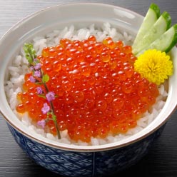 北海道知床羅臼産いくら醤油漬